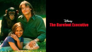The Barefoot Executive's poster