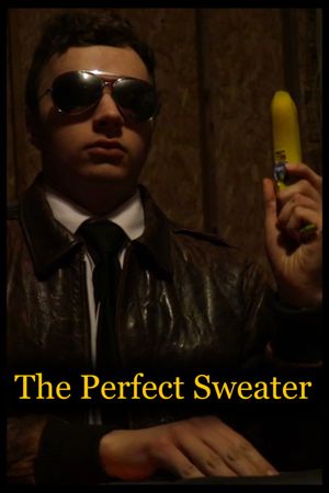 The Perfect Sweater's poster image