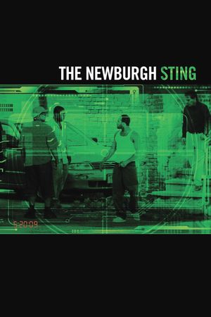 The Newburgh Sting's poster image