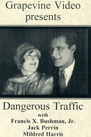 Dangerous Traffic's poster