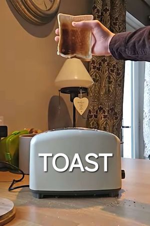 TOAST's poster image