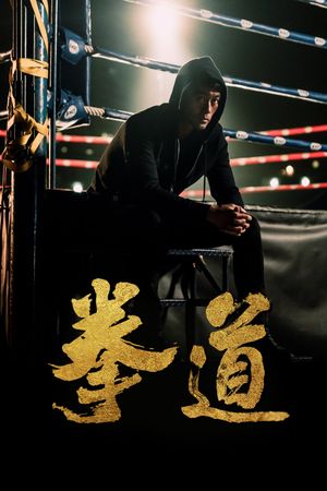 The Journey of a Boxer's poster