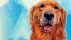 My Heart Puppy's poster