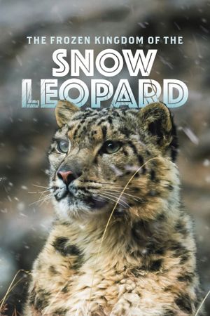 The Frozen Kingdom of the Snow Leopard's poster