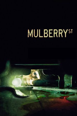 Mulberry St's poster