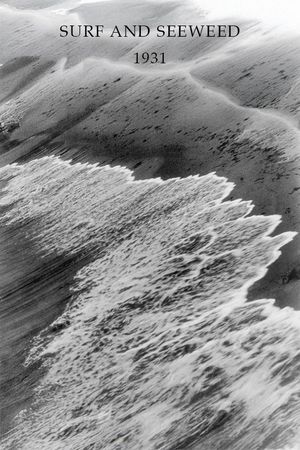 Surf and Seaweed's poster image