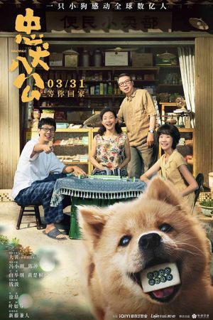 Hachiko's poster