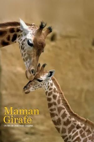 Maman girafe's poster