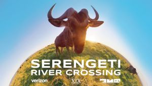 Serengeti River Crossing's poster