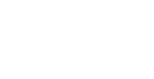 Descendants: The Royal Wedding's poster