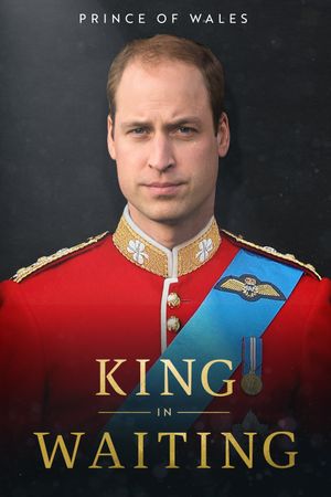 Prince of Wales: King in Waiting's poster
