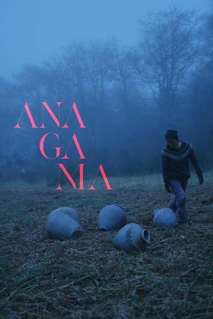 ANAGAMA's poster