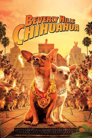 Beverly Hills Chihuahua's poster