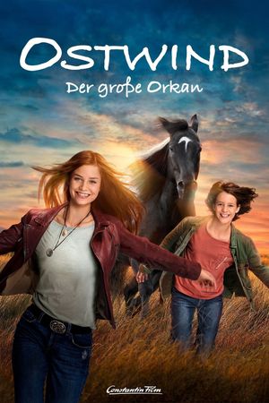 Windstorm: The Great Hurricane's poster
