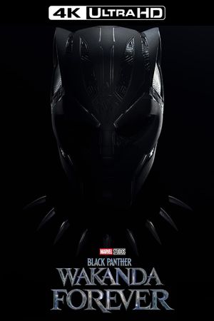 Black Panther: Wakanda Forever's poster