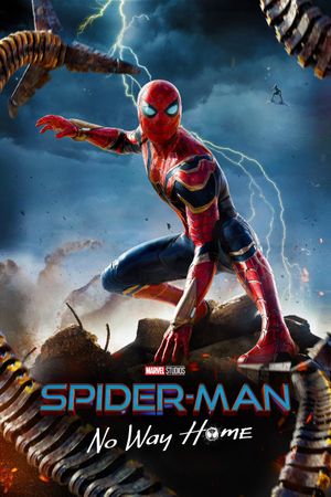 Spider-Man: No Way Home's poster