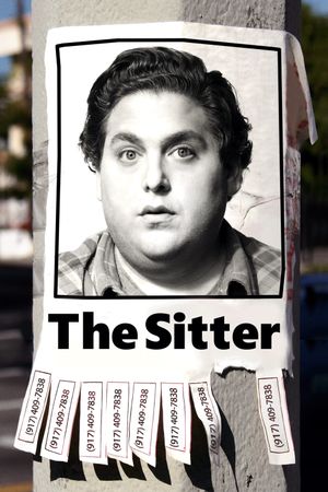 The Sitter's poster