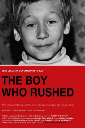 The Boy Who Rushed's poster image