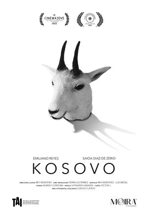 Kosovo's poster image