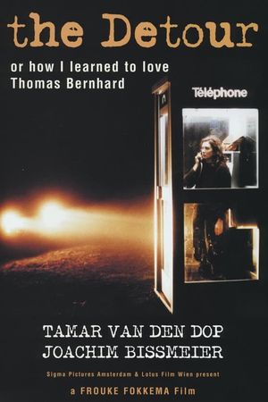 The Detour's poster