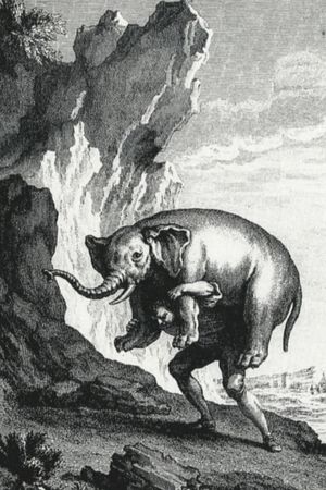 Reason is a Balancing Animal's poster