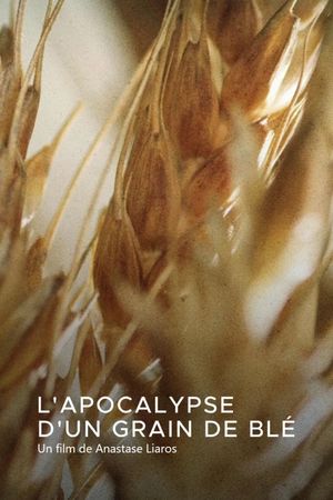 L'apocalypse d'un grain de blé's poster