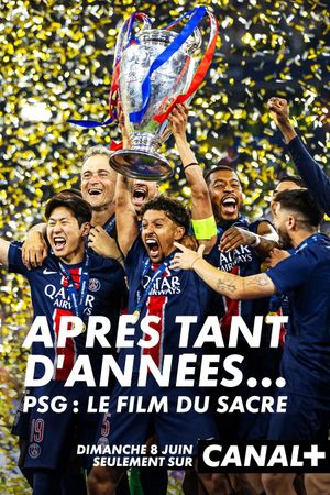 After So Many Years…'s poster