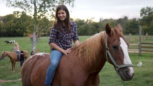 Horse Camp's poster