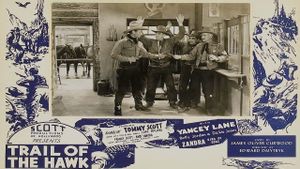 The Hawk's poster