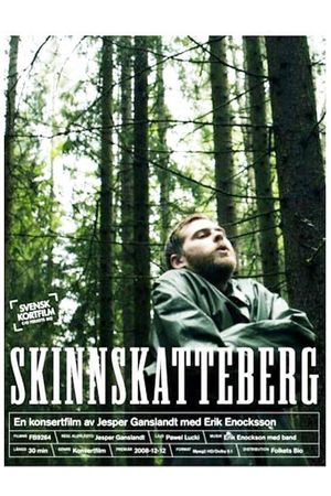 Skinnskatteberg's poster image