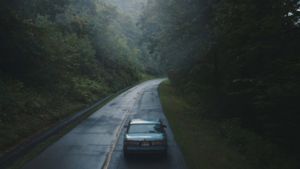Blue Ruin's poster