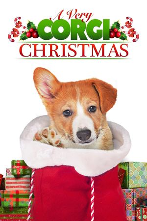 A Very Corgi Christmas's poster