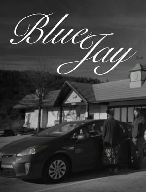 Blue Jay's poster