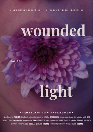 Wounded Light's poster