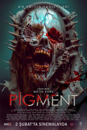 Pigment's poster