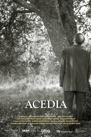 Acedia's poster