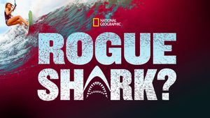 Rogue Shark?'s poster