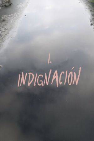 Indignation's poster