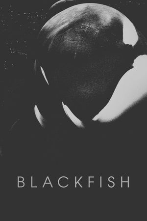 Blackfish's poster