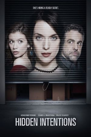 Hidden Intentions's poster