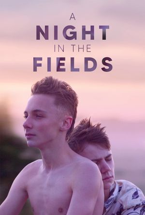 A Night in the Fields's poster