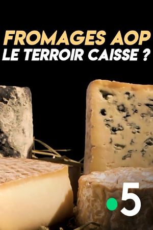 Fromages AOP : le terroir caisse ?'s poster