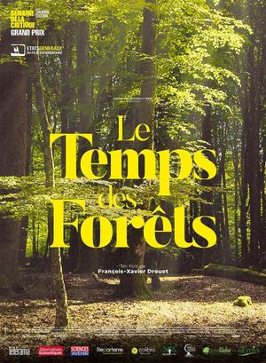 The Time of Forests's poster