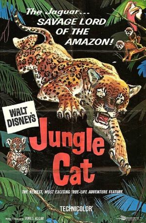 Jungle Cat's poster