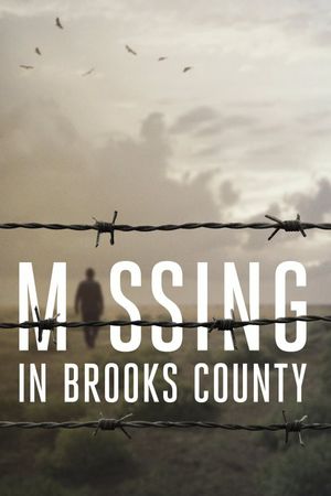 Missing in Brooks County's poster