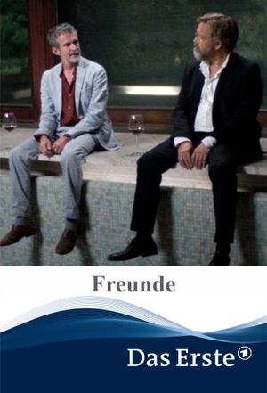 Freunde's poster