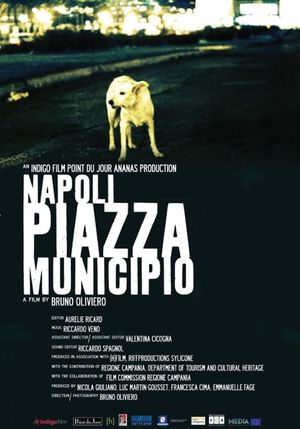 Napoli Piazza Municipio's poster