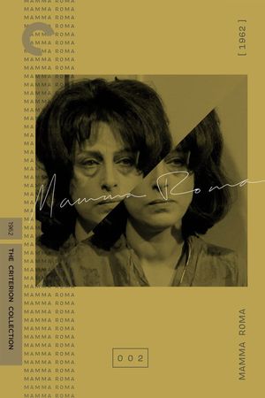 Mamma Roma's poster