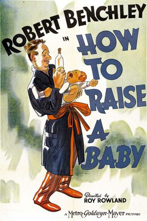 How to Raise a Baby's poster
