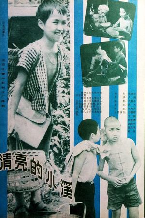 清亮的小溪's poster image